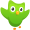 Duolingo.png